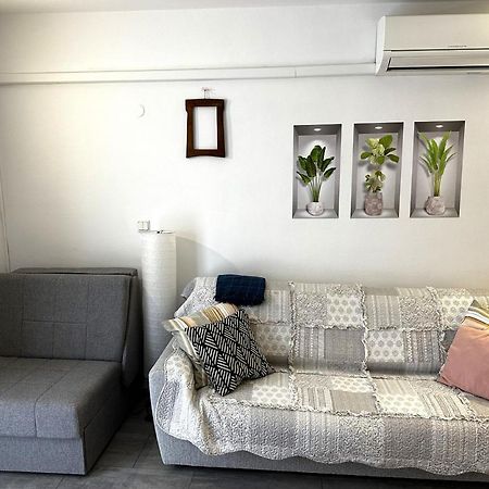 Mirta Deluxe Superior 5 Star Apartment, Your Piece Of Heaven By The Sea & Park, With Sea & Park View Novigrad Istria المظهر الخارجي الصورة