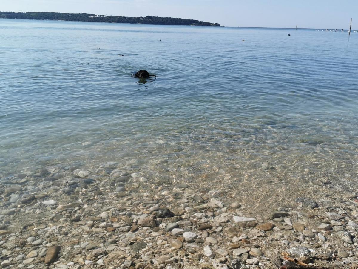 Mirta Deluxe Superior 5 Star Apartment, Your Piece Of Heaven By The Sea & Park, With Sea & Park View Novigrad Istria المظهر الخارجي الصورة