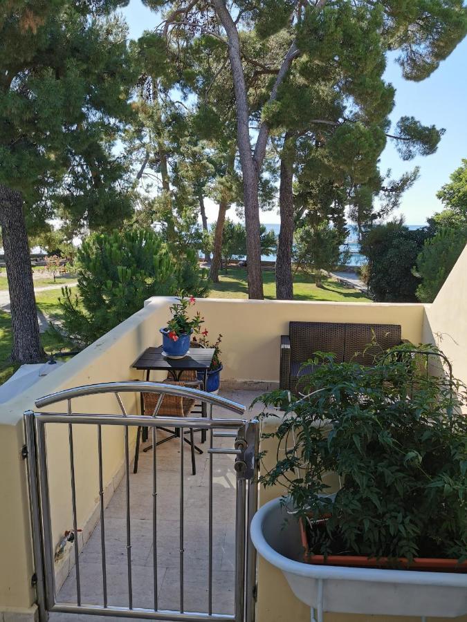 Mirta Deluxe Superior 5 Star Apartment, Your Piece Of Heaven By The Sea & Park, With Sea & Park View Novigrad Istria المظهر الخارجي الصورة